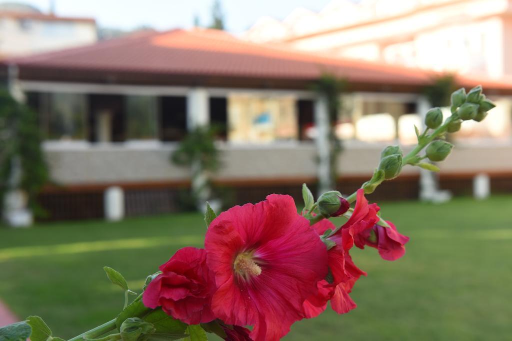 Oludeniz Turquoise Hotel Ngoại thất bức ảnh